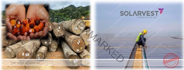 Jtiasa and Solarvest