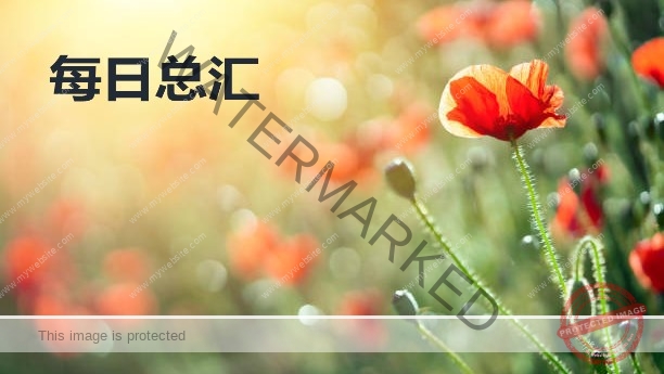 每日总汇6