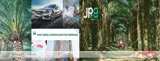 合成统一和柔佛种植